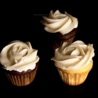 Vanilla + Chocolate Mini Cupcakes with Vanilla Buttercream